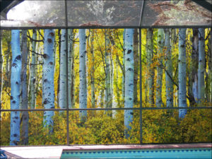 privacy screen